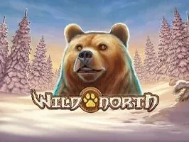 Wild North thumbnail